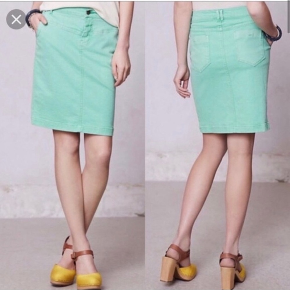 Anthropologie Holding Horses Knee Length Skirt 27